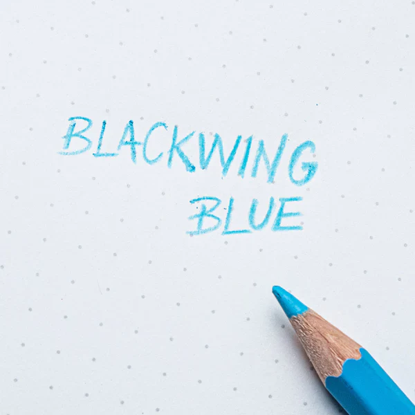 Blackwing Individual Blue Pencil - Image 2