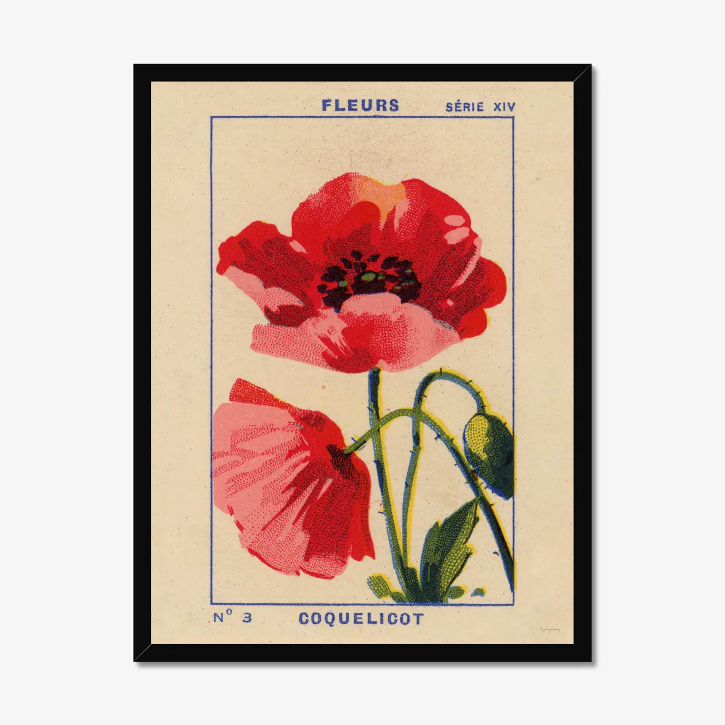 Coquelicot - Poppy Fine Art Print A3 - Image 2