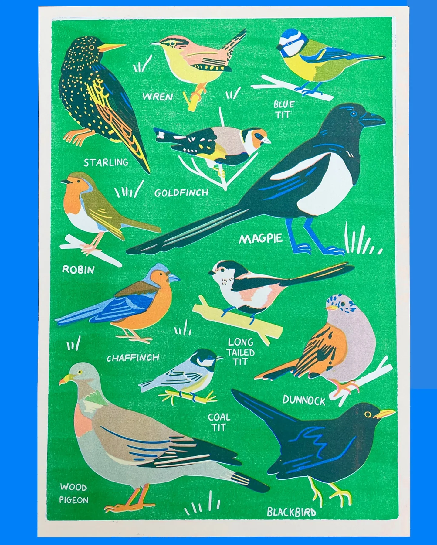 Garden Bird A3 Riso Print