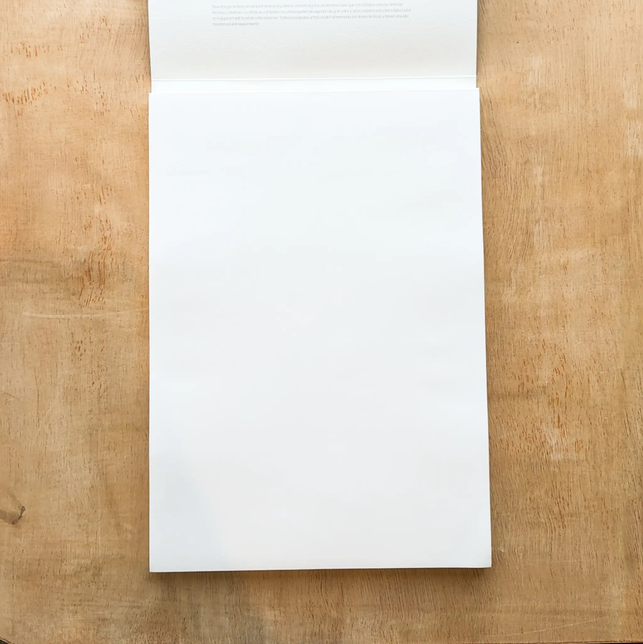 Hahnemuhle The Collection 100% Cotton Sketch Pad A4 - Image 3