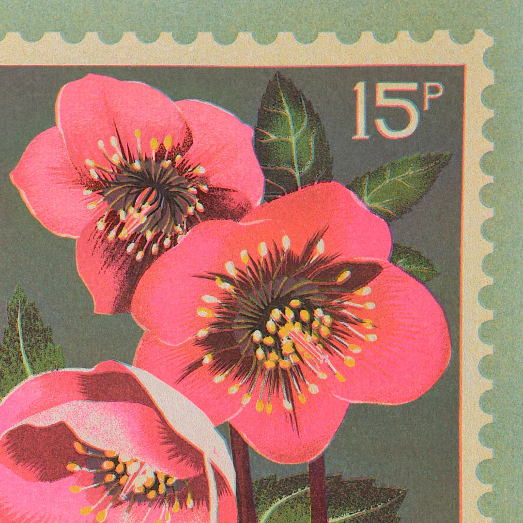 Hellebore Stamp - A5 Risograph Print - Image 2