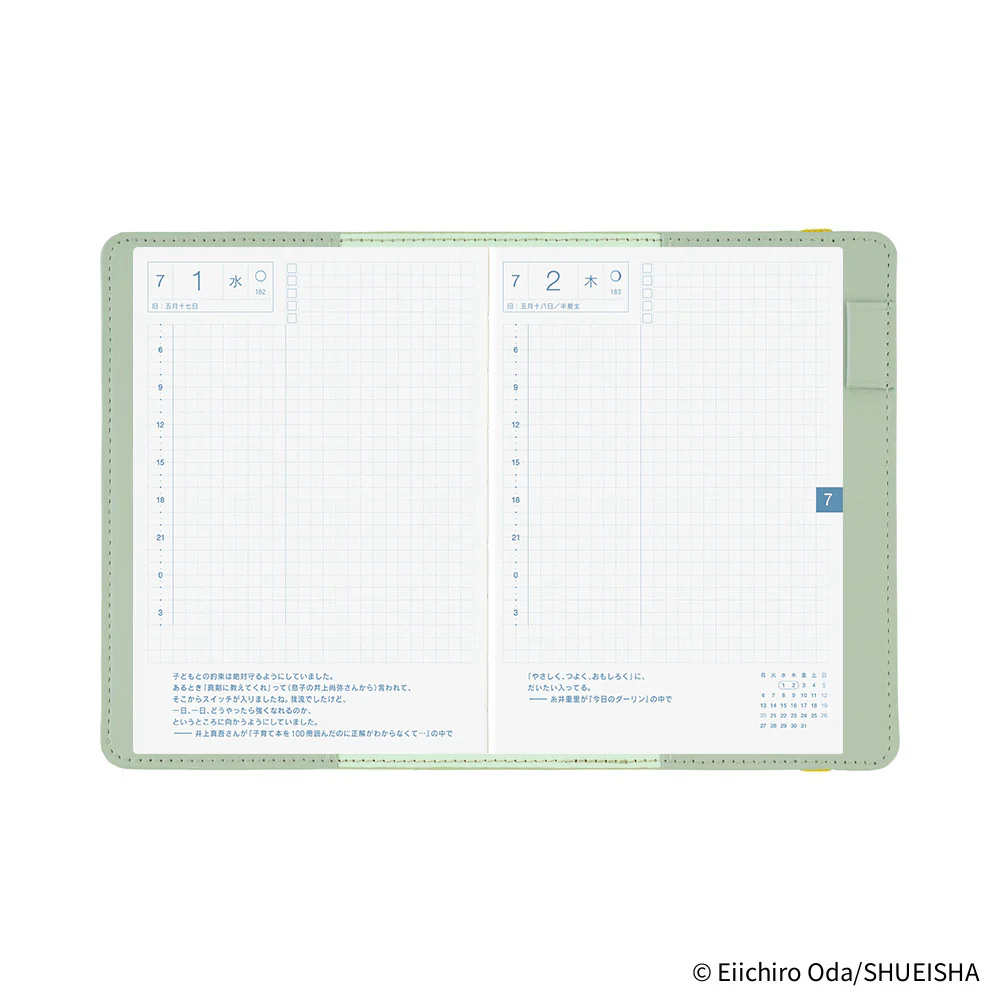 Hobonichi A6 Cover - ONE PIECE magazine: End of Luffy’s Dream (Mint Green) - Image 10