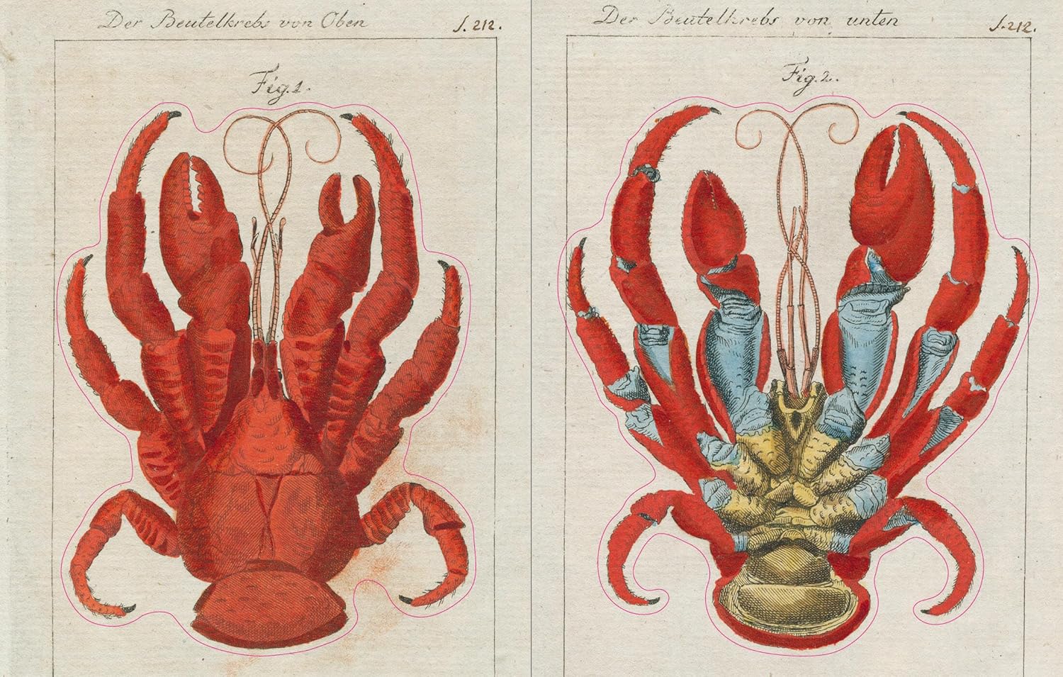 John Derian Sticker Book - Image 11