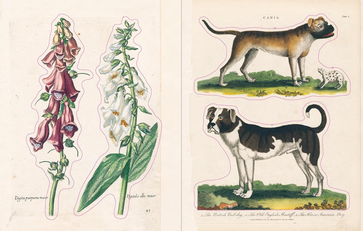 John Derian Sticker Book - Image 2
