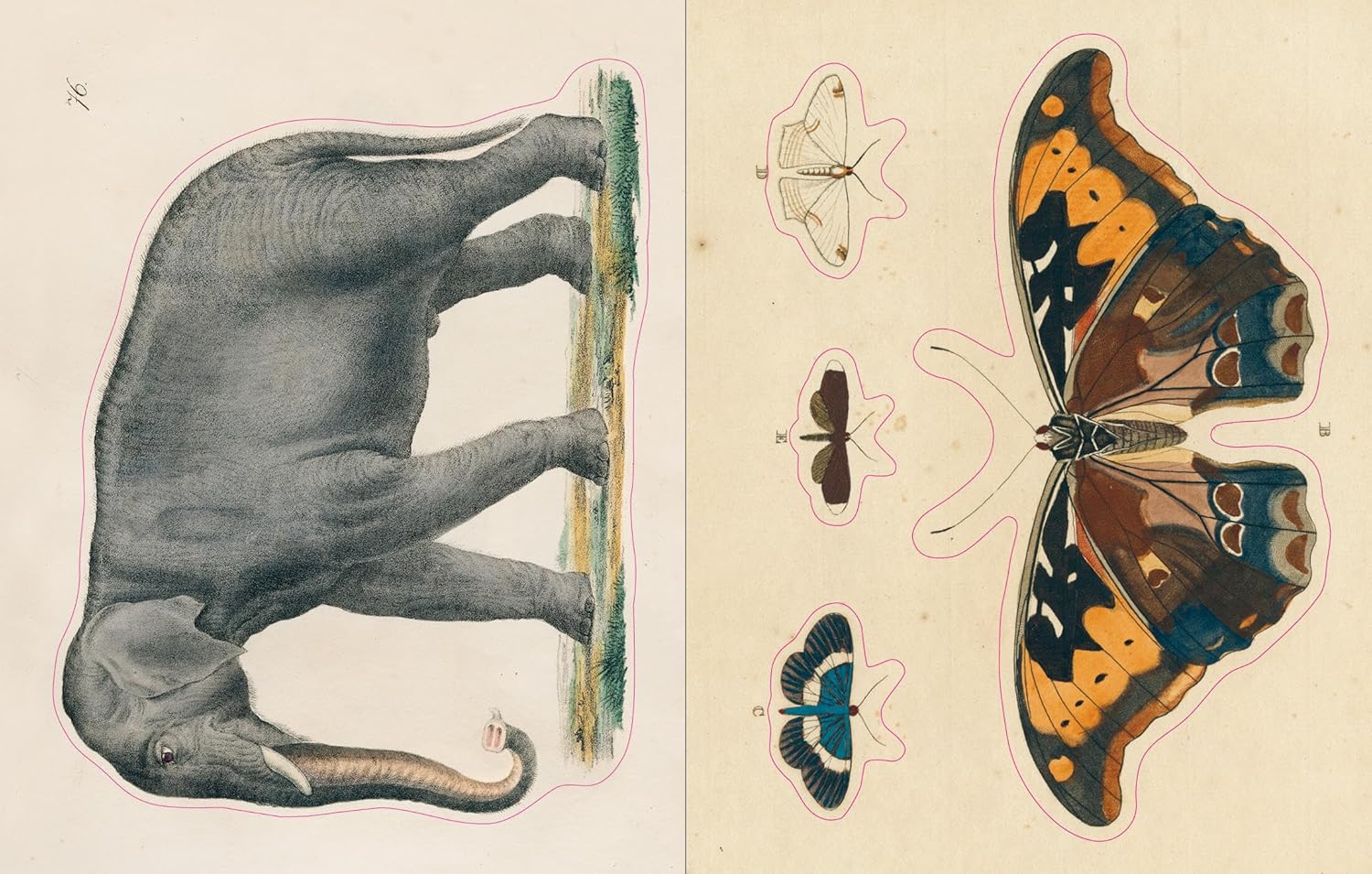 John Derian Sticker Book - Image 3
