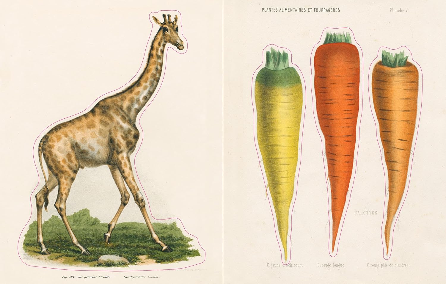 John Derian Sticker Book - Image 4