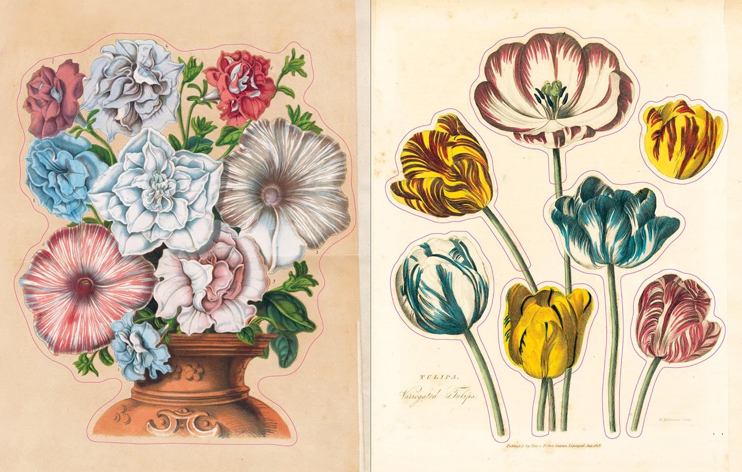 John Derian Sticker Book - Image 5