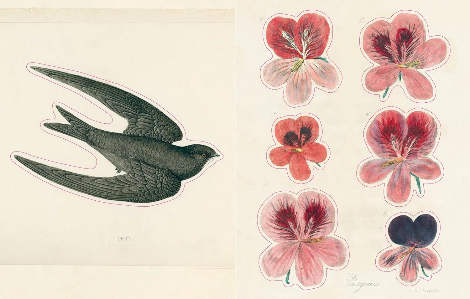 John Derian Sticker Book - Image 7