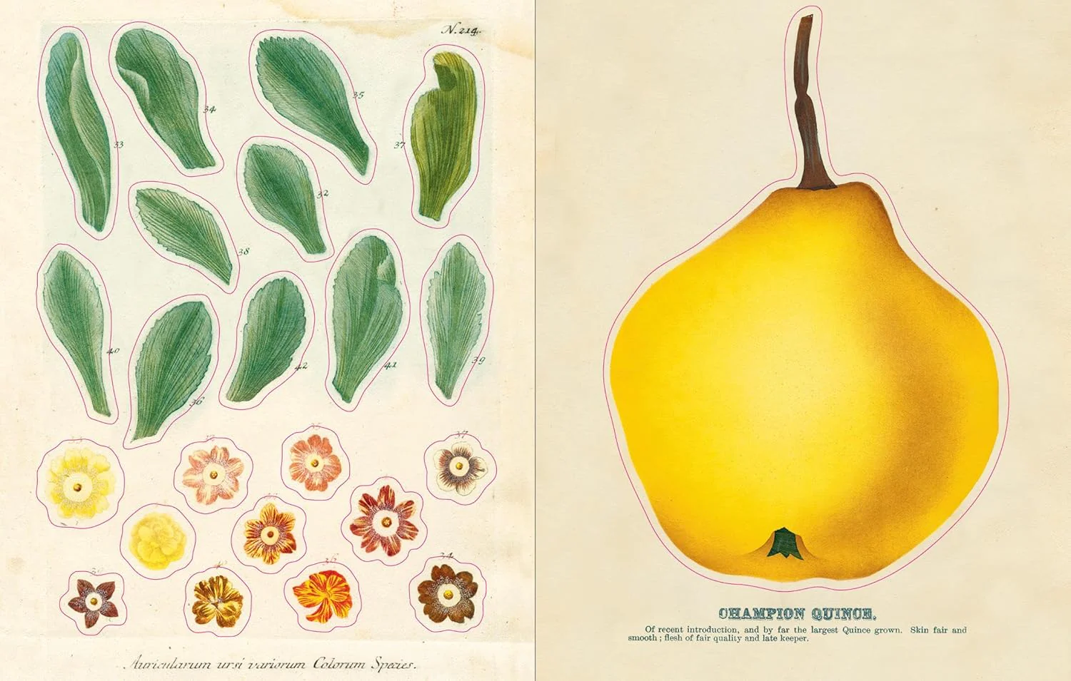 John Derian Sticker Book - Image 9