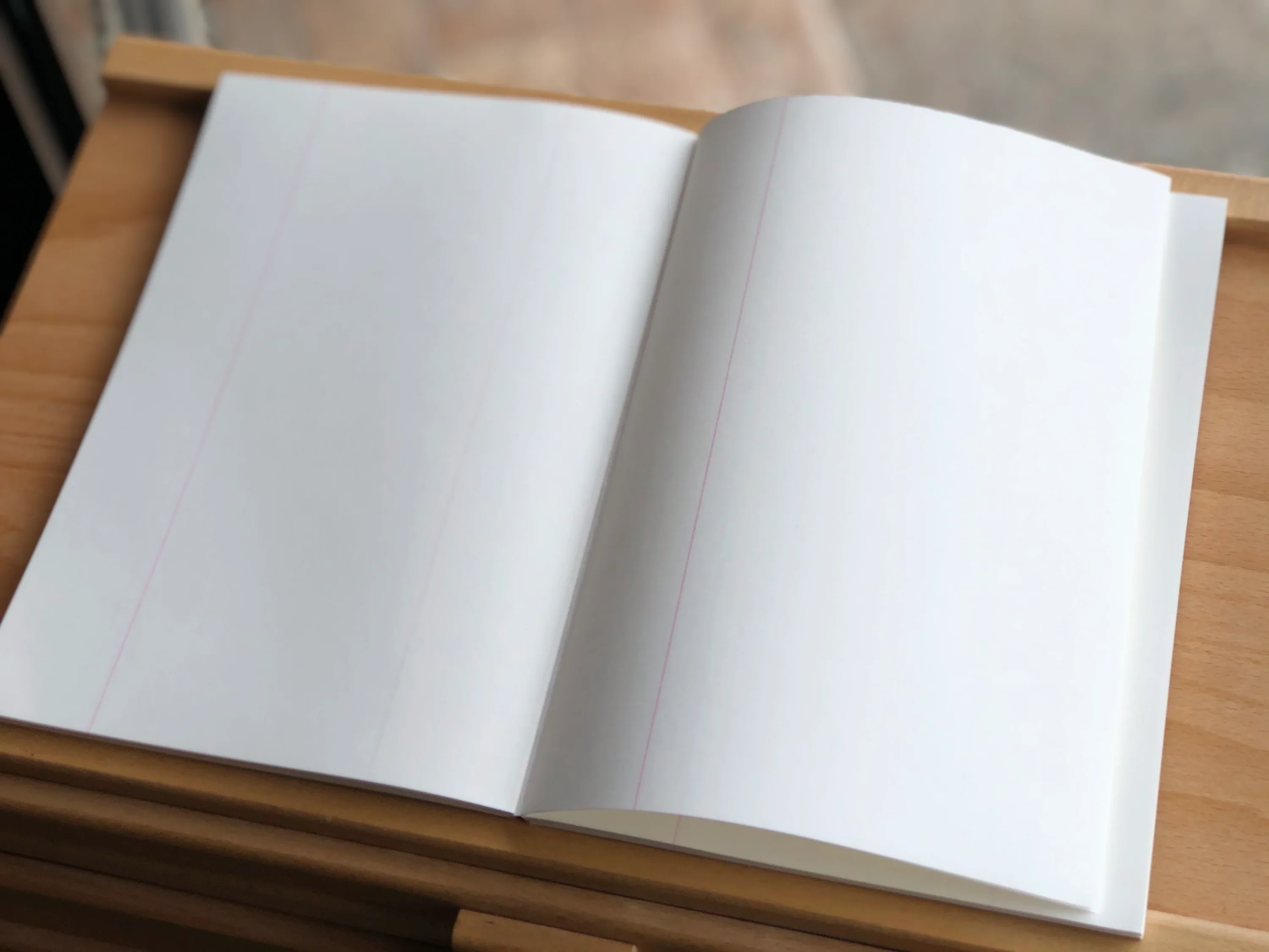 Life A5 Margin Plain Notebook - Image 2