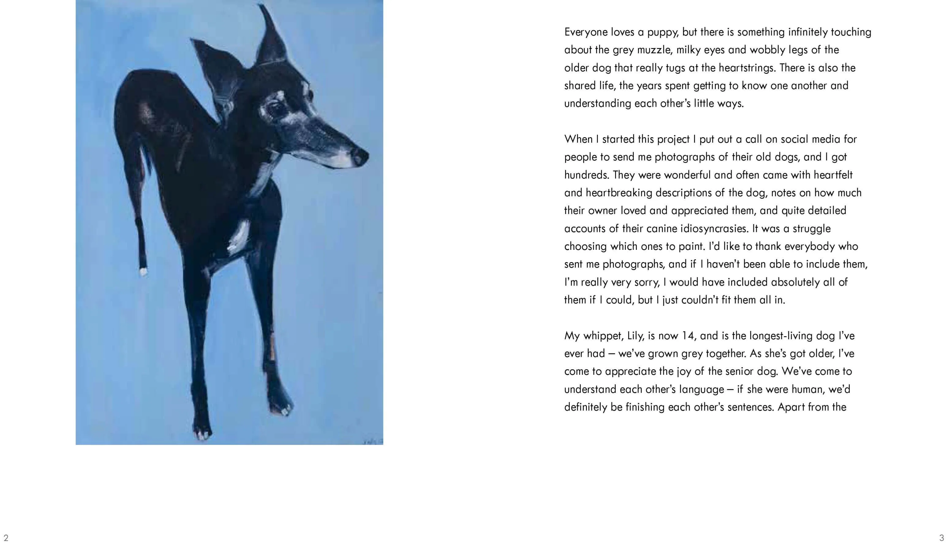 Old Dogs by Sally Muir - Image 2