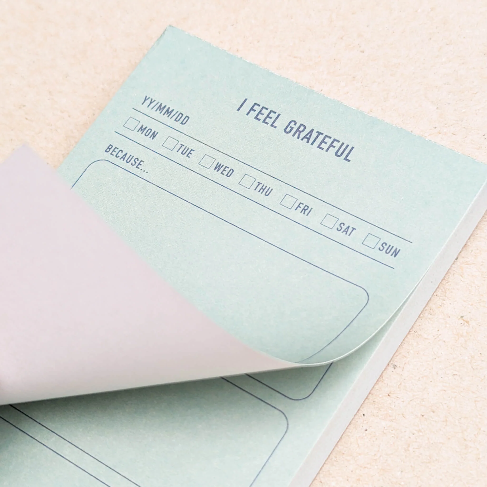 Paperian Gratitude Memo Pad - Image 2