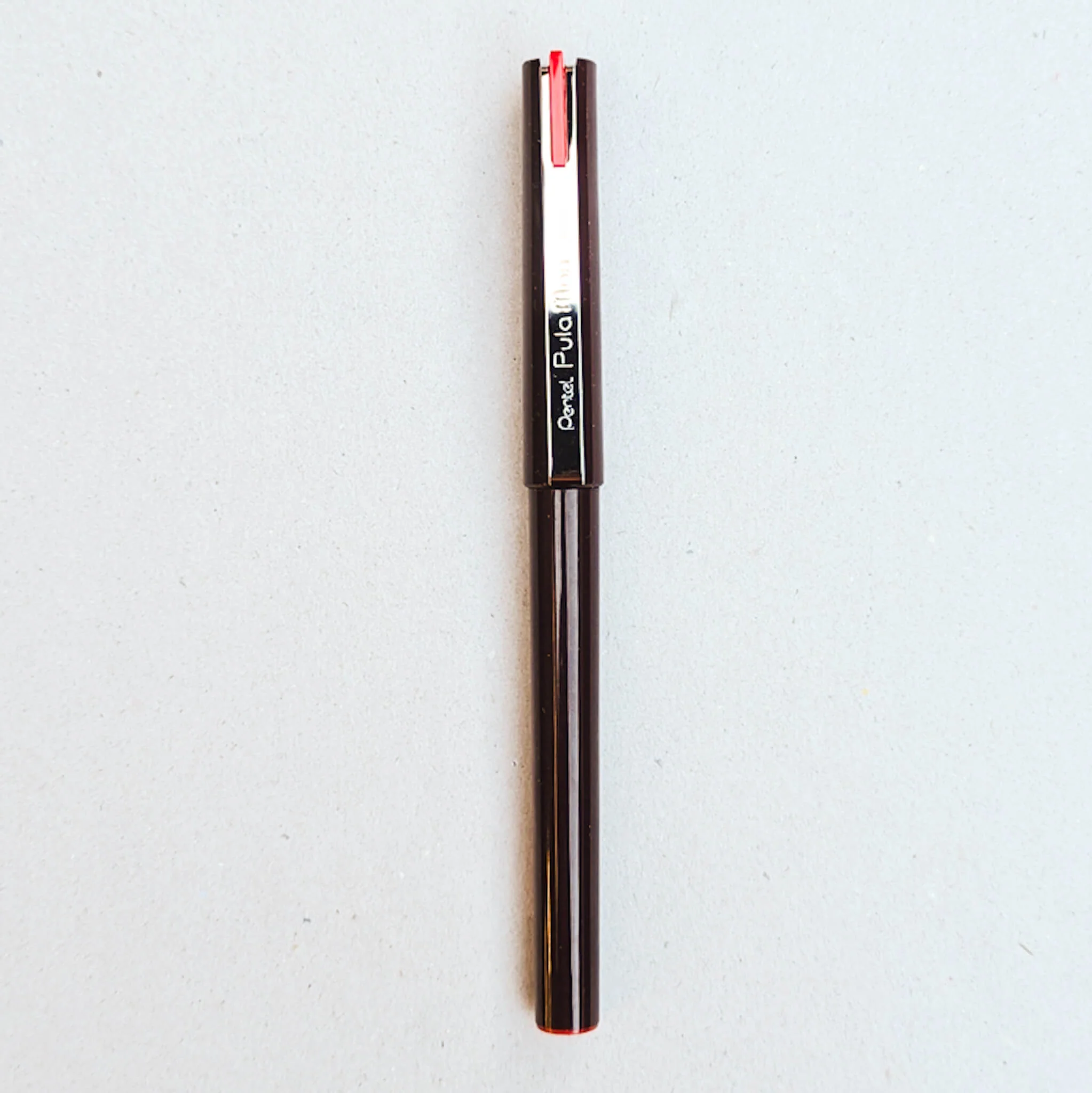 Pentel Pulaman Plastic Nib Pen - Image 5