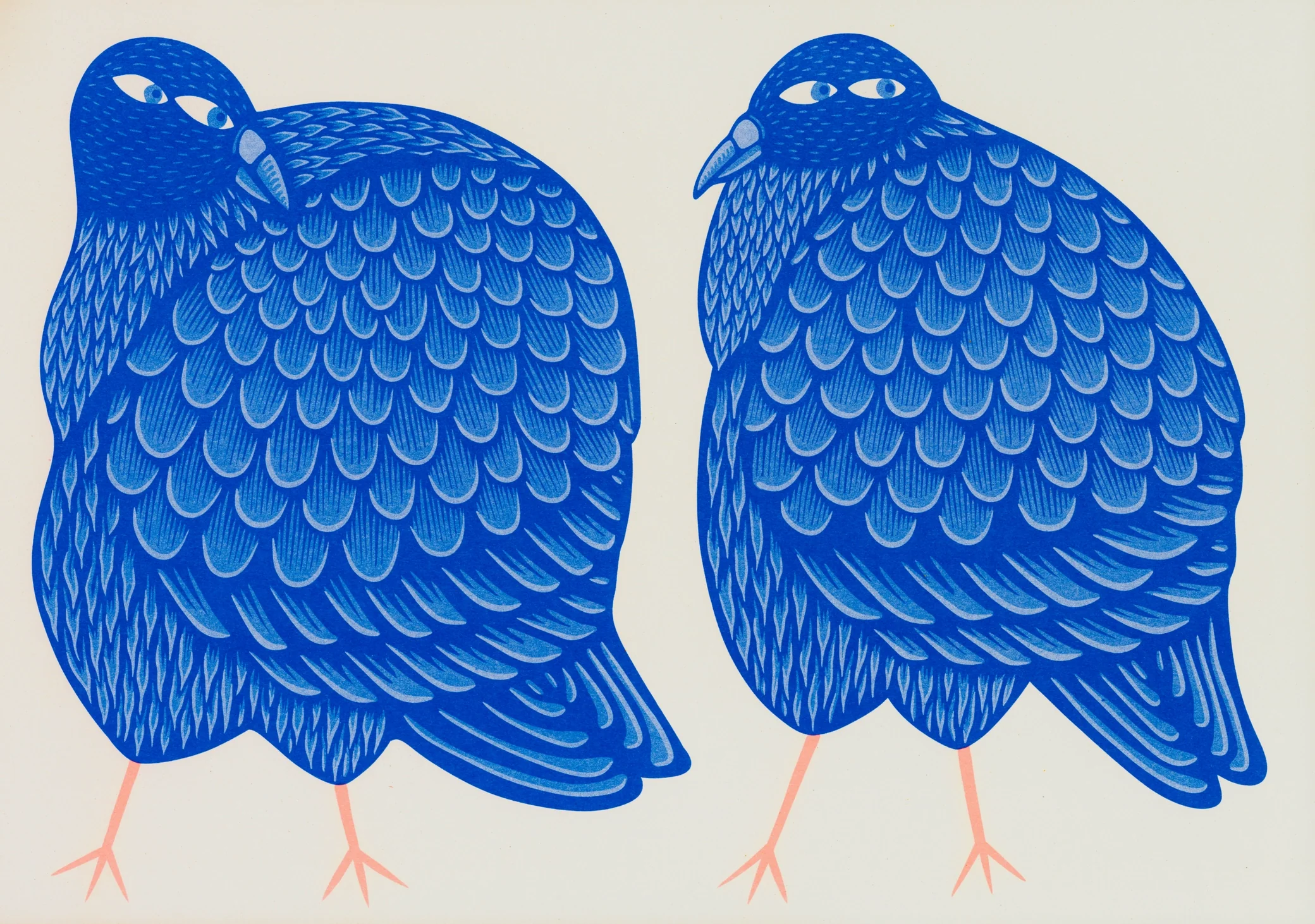Pigeon Fancier A3 Art Print