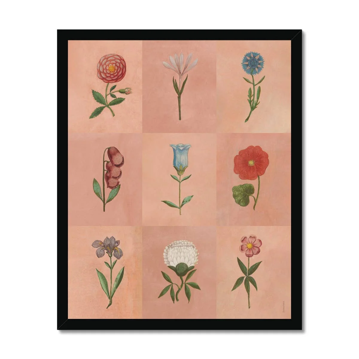 Pink Festival of Flowers Fine Art Print A3 - Image 2