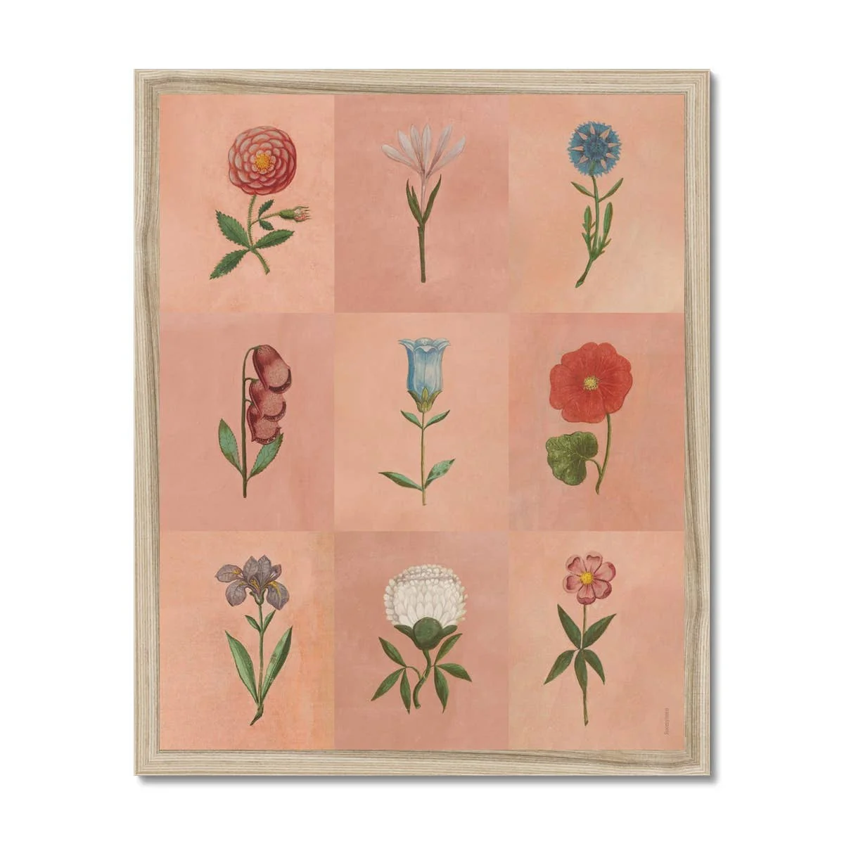 Pink Festival of Flowers Fine Art Print A3 - Image 3