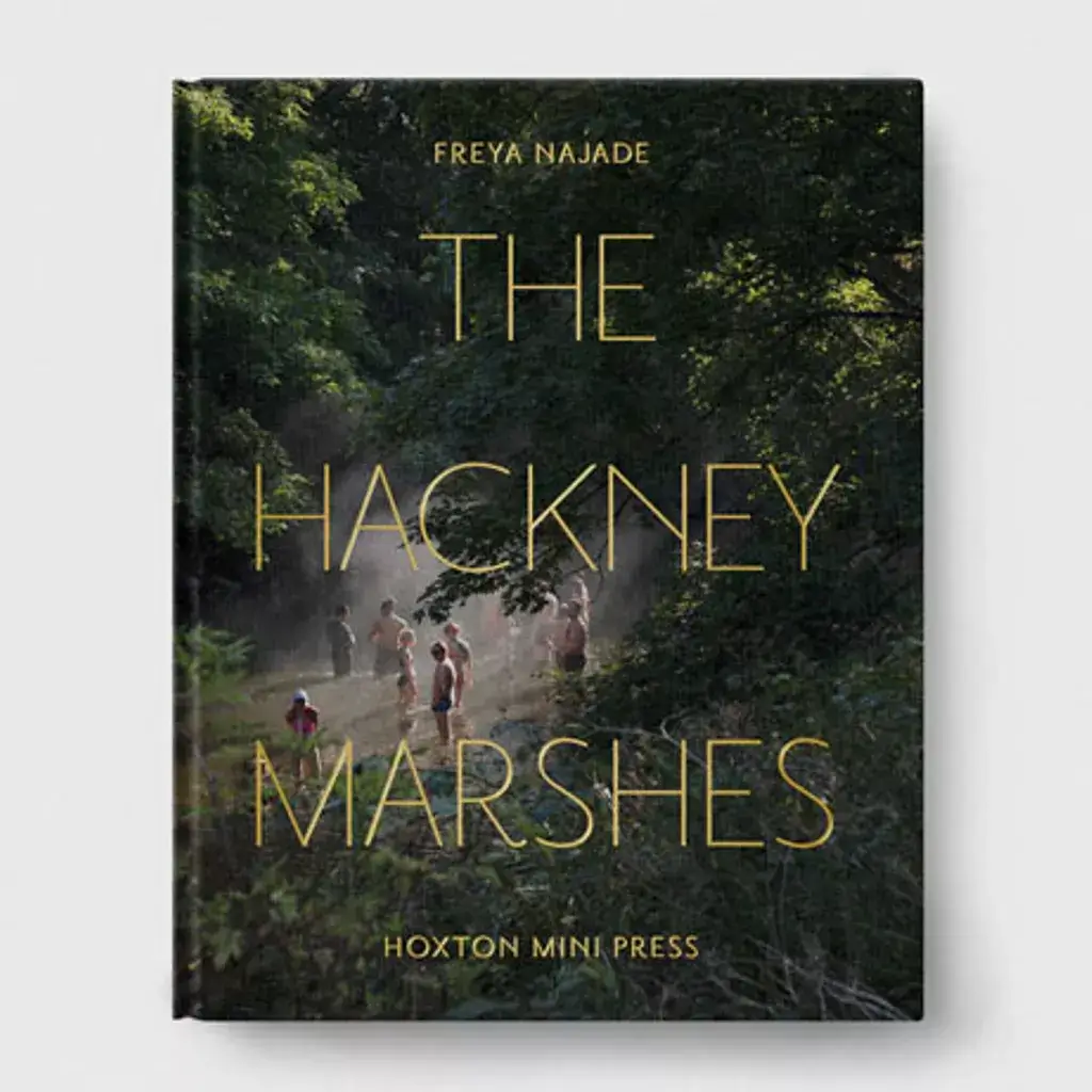 The Hackney Marshes
