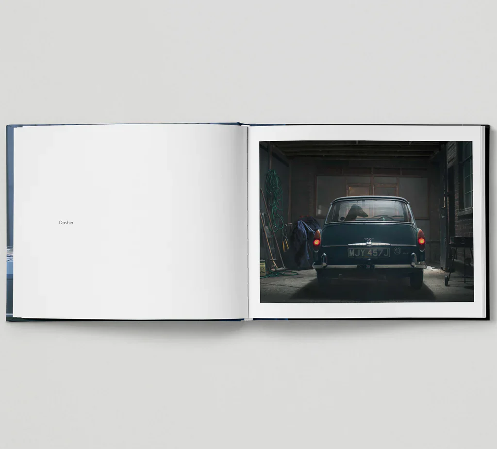 The Silence of Dogs in Cars by Martin Usborne - Image 3